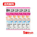 【第2類医薬品】【小林製薬】セナキュア 100ml 5個セット