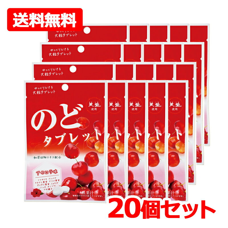 乐天商城 - 【送料無料・20個セット】【赤穂化成】 のどタブレット アセロラ味 24g×20セットタブレット 天塩使用 便利なチャック付き