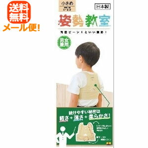 【メール便!送料無料!】【テルコーポレーション】姿勢教室小さめ アイボリー対象年齢:5〜8才用 姿勢矯正 【メール便!送料無料!】【テルコーポレーション】姿勢教室小さめ アイボリー対象年齢:5〜8才用 姿勢矯正