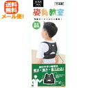 【メール便!送料無料!】【テルコーポレーション】姿勢教室大きめ ブラック対象年齢:9~12才用 姿勢矯正