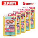 【送料無料】【小林製薬】 糸ようじコンパクトヘッドタイプ 60本入×5個セットお徳用 細い滑らか4本糸 歯間ケア女性・子供にも 歯みがき オーラルケア