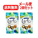 【メール便対応・送料無料・2個セット】【トイメディカル】しおナイン48粒×2セット