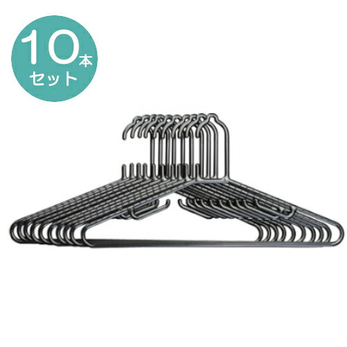 《エントリーで最大ポイント19倍★15日12時~》ハンガー おしゃれ BAUハンガー 10P BAU-4310収納用品 クローゼット 衣類整理 押入れ アイリスオーヤマ 衣替え  