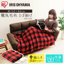《ポイント5倍★12時~15日限定》電気毛布 ひざ掛け 掛け敷き 洗える 80×120cm EBK-1208-ZR アイリスオーヤマ 電気 毛布 掛け 敷き 膝...