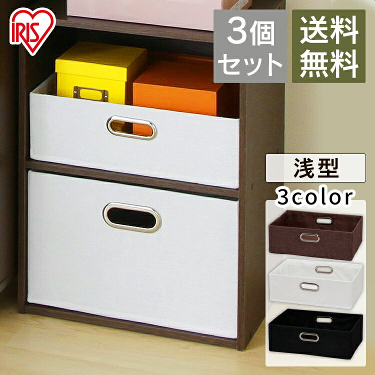 ☆お得な3個セット☆インナーボックス 浅型 IB-38 カラーボックス インナーボックス セット 収納 箱 ボックス 収納 寝室 おしゃれ かわいい おもちゃ収...