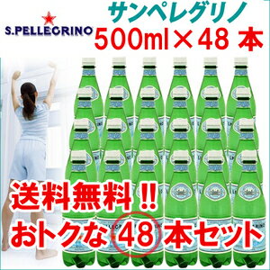 《エントリーで最大ポイント19倍★15日12時~》【送料無料】(炭酸水) サンペレグリノ 500mL× 48本入【天然炭酸水ペットボトル】【D】【代引き不可】