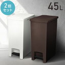 《全品ポイント5倍★25日限定》【2個】エバンペダルペール 45L 6325ダストボックス ゴミ箱 ごみ箱 ペダル式 ペダル キッチン 台所 おしゃれ 45L ...