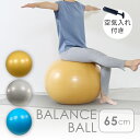 バランスボール65cm 23-188バランスボール フィットネス ダイ...(4)