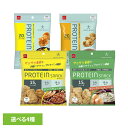 BODYSTAR ボディスター プロテインスナックバーベキュー味 40g おやつカンパニー BODY STAR プロテイン タンパク質 大豆 スナック おやつカンパニー バーベキュー味 コンソメ味 サクサク食感バーベキュー味 サクサク食感サワークリームオニオン味(4)