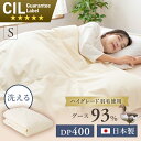 ＼10％offクーポン★30日9:59迄／掛け布団 シングル 掛布団 布団 日本製 ダウンケット 洗える 軽量 抗菌 防臭 夏布団 夏用掛け布団 オールシーズン 羽毛布団 肌掛け布団 羽毛 肌掛け 夏 GGD93%0.2kg送料無料 グレーグースダウン おしゃれ