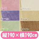 P.M2.5や花粉対策に!抗ウイルス・抗アレルゲン・抗菌・消臭・防ダニの5つの効果【オールシーズン対応!】ラグカーペット≪190×190cm≫ RPM-1919【2.4畳用】アイリスオーヤマ【PENTAGON】【STAR5】カーペット