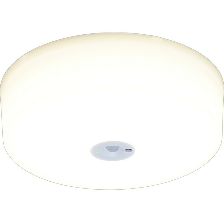 󥰥饤 ᥿륵åȥ꡼ 1200lm SCL12LMS-MCHL SCL12NMS-MCHL SCL12DMS-MCHL ŵ忧   LED     饤 ʥ ŵ ѥ 󥵡 sensa ʹ󥵡