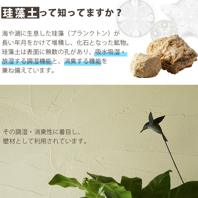 バスマット 珪藻土 ハード 珪藻土バスマット 大判 60×39cm 速乾 吸水 消臭 清潔 お...