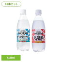 【48本】友桝 サイダー 500ml 友桝 サイダー ペットボトル PET 48本 カロリーゼロ 炭酸飲料 トリプルゼロ 500ml 2ケース 友桝飲料 ゼロ 乳酸菌入り 【代引不可】