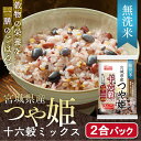 宮城県産つや姫 十六穀ミックス 300g 雑穀米 無洗米 国...