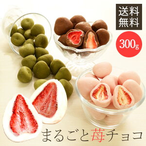 【賞味期限：2024年5月15日】まるごといちごチョコ 300g フリーズドライ いちご 苺 イチゴチョコ スイーツ イチゴ いちごまるごと ストロベリー バレンタイン ギフト ホワイトデー ギフトチョコ【D】