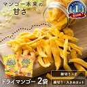 【選べるプレミアム】 ドライマンゴー 1kg ドライフルーツ 500g×2袋 950g 500g+450g 送料無料 ドライマンゴー マンゴー 不揃い タイ産 500グラム 細切りタイプ ひと口サイズ おやつ デザート 食物繊維 ビタミン まとめ買い お徳用