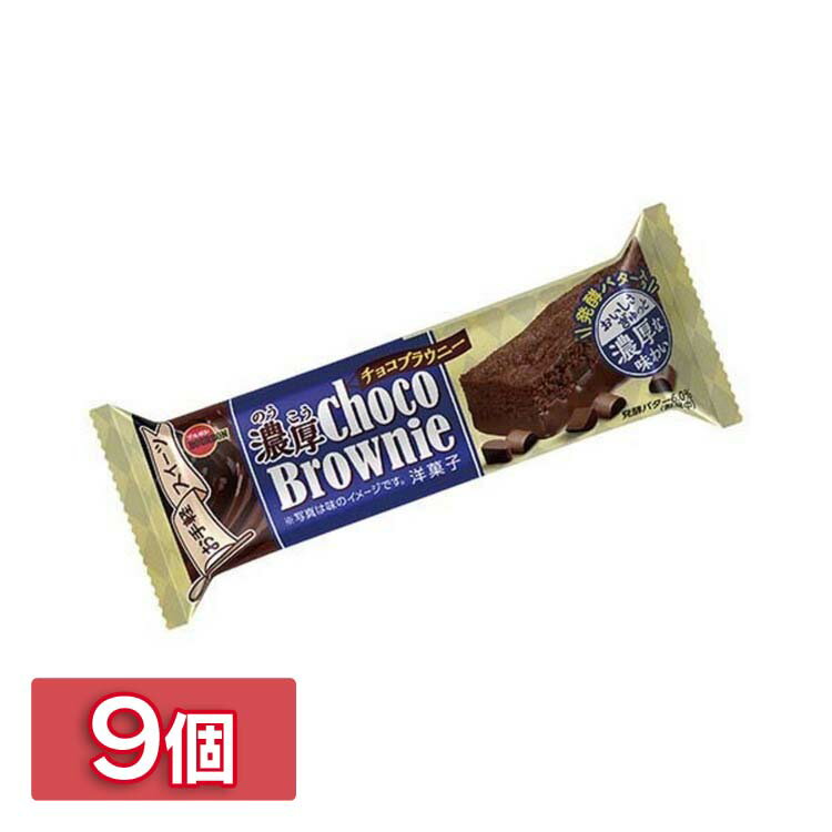 【9個】濃厚チョコブラウニー ブルボン チョコレート お手軽 定番 ケーキ 半生 軽食 【D】のサムネイル