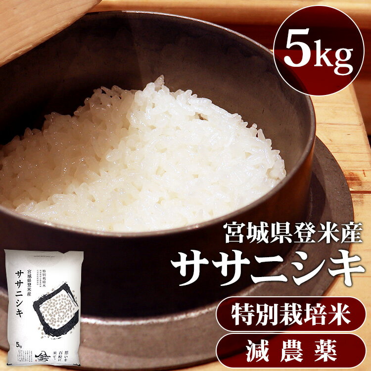 米 5kg 送料無料 令和5