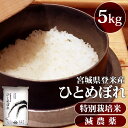 宮城産 ひとめぼれ 米 5kg 送料無料 令和5年産 減農薬米 宮城県産ひとめぼれ 5kg 減農薬米 特別栽培米 送料無料 精米 減農薬 宮城県登米産 ひとめぼれ 5kg ヒトメボレ 白米 米 コメ おこめ ご飯 ごはん【TD】【米TRS】