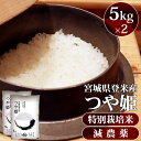 米 10kg 送料無料 令和6年産 宮城県産つや姫 減農薬米 特別栽培米 10kg 送料無料 宮城県登米産 精米 つや姫 減農薬 10kg お米 白米 ごはん ...