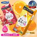 エルビー　1,000円 +ポイント 送料無料 【賞味期限：2024年5月9日】【訳あり】 フルーツビネガー 紙パック 200ml 30本【楽天市場】 など 他商品も掲載の場合あり