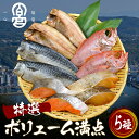 特選干物セット HK10-GP送料無料 干物 鯖 詰め合わせ ...