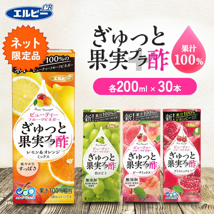 ぎゅっと果実プラ酢200ml30本　1,000円 +ポイント 送料無料 エルビー＼1本当たり33円／ 【賞味期限2023年12月19日】【訳あり】フルーツビネガー 紙パック 200ml 30本 【楽天市場】 など 他商品も掲載の場合あり