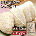 令和6年産 宮城県産ひとめぼれ 米 30kg 送料無料 玄米 白米 精米 ひとめぼれ 玄米30kg 精米27kg 選べる! 1等米 玄米・精米 お米 おこめ 送料無料 ご飯 宮城県産【TD】【米TRS】【メーカー直送品】