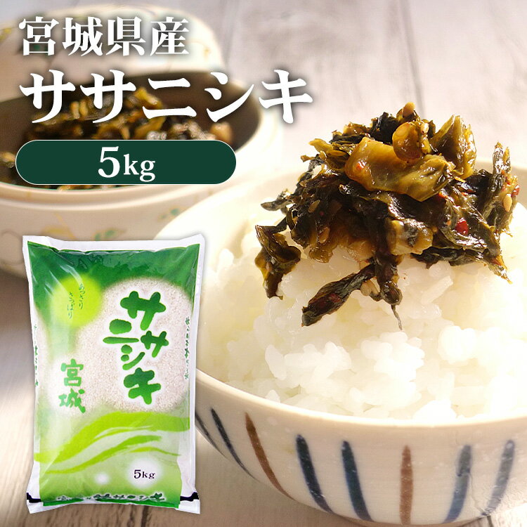 米 5kg 送料無料 令和5