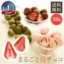 フラワーボックス＆オランジェット100g お花セット チョコレート 誕生日 ギフト 生花 お礼 オレンジピール チョコ 誕生日 ギフト おしゃれ プレゼント 内祝 結婚祝い お返し バースデー ショコラ お菓子 スイーツ 洋菓子 贈り物 お祝い 熨斗対応 高級 ホワイトデー