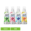ハミング消臭実感 本体 510ml 花王 ハミング 柔軟剤 消臭 柔軟剤 じゅうなんざい ニオイ対策 柔軟 剤 柔軟剤 洗濯柔軟剤 部屋干し 柔軟剤 抗菌 Kao リフレッシュグリーン ローズ&フローラル ホワイトソープ オレンジ&フラワー