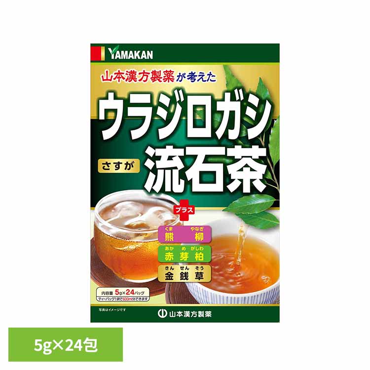 乐天商城 - ウラジロガシ流石茶 5g×24包 健康食品 24パック 山本漢方 健康 健康茶 山本漢方製薬