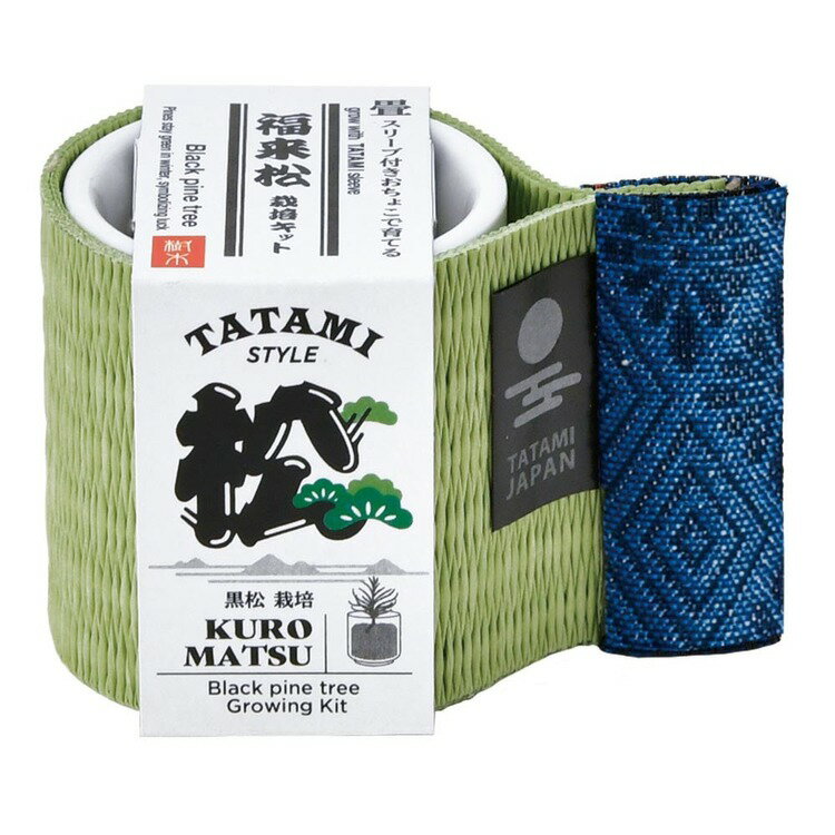 【3種セット】お芽でたおちょこ畳 栽培キット 栽培セット 黒松 鷹の爪 五色とうが...