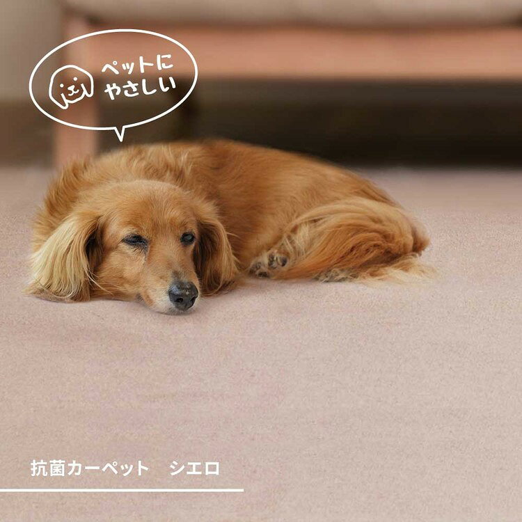柔らかパイルの抗菌カーペット シエロ 江戸間6畳 600094560カーペット ラグマット 絨毯 江戸間 抗菌 防臭 ホットカーペット対応 リビング フローリング ブラウン アイボリー【TD】 【代引不可】