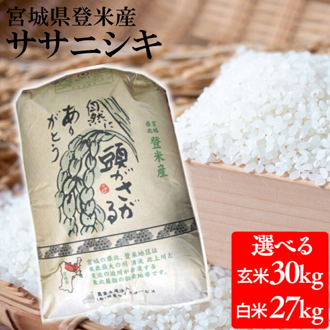 【新米】【令和3年産】 米 玄米30kg 精米27kg 宮城県産ササニシキ 送料無料...