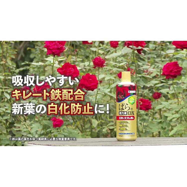 マイローズ ばらの活力液DX 800ml 植物活力剤 栄養 園芸 花 薔薇 バラ 株式会社上...