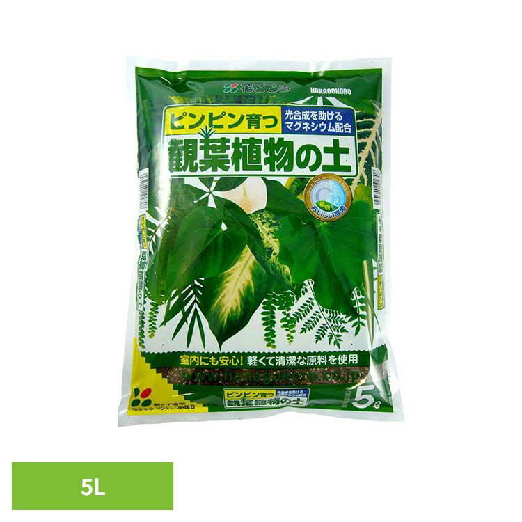 商品画像2