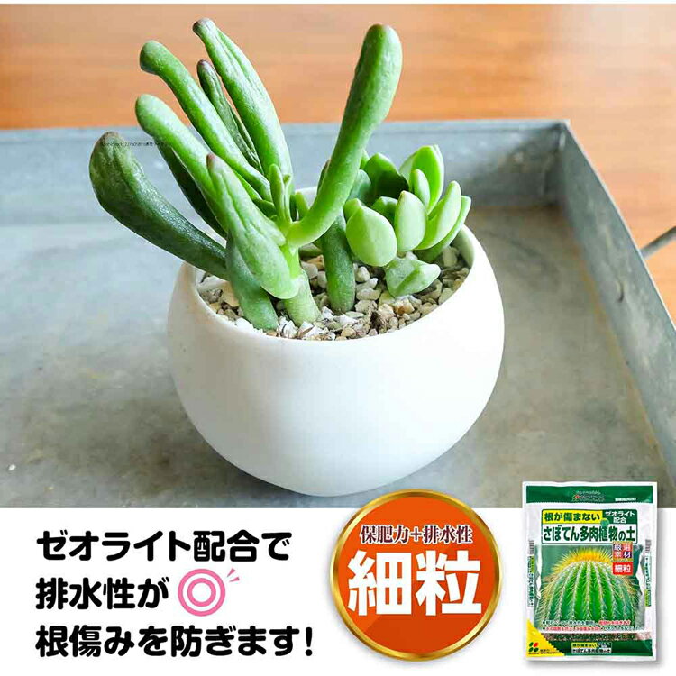 さぼてん多肉植物の土（細粒） 5L 培養土 用土 厳選 細粒 ゼオライト 根腐れ 排水...