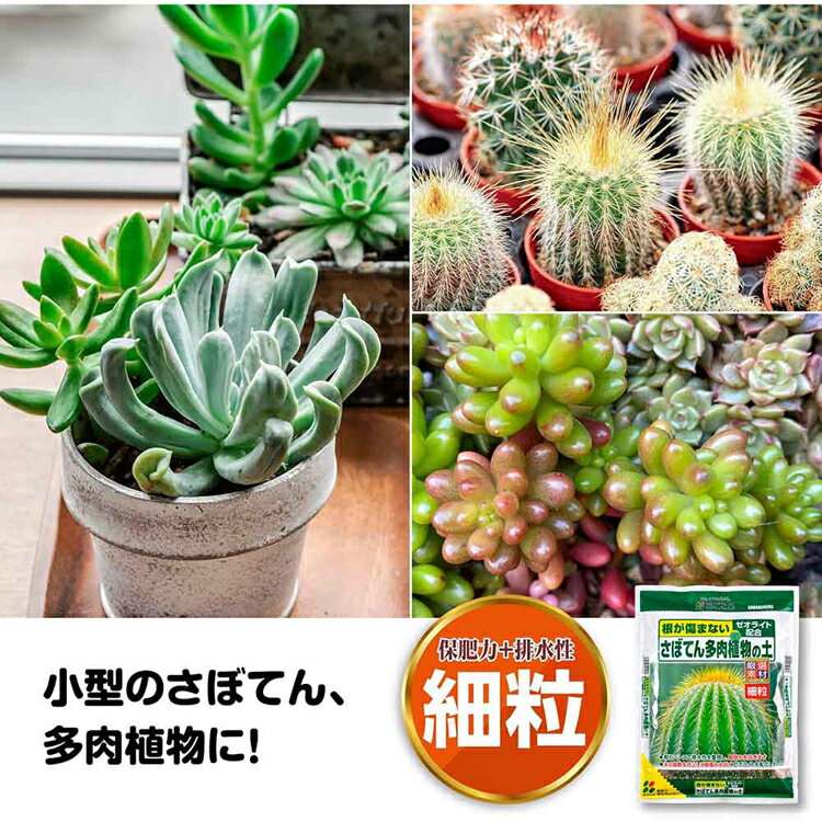 さぼてん多肉植物の土（細粒） 5L 培養土 用土 厳選 細粒 ゼオライト 根腐れ 排水...