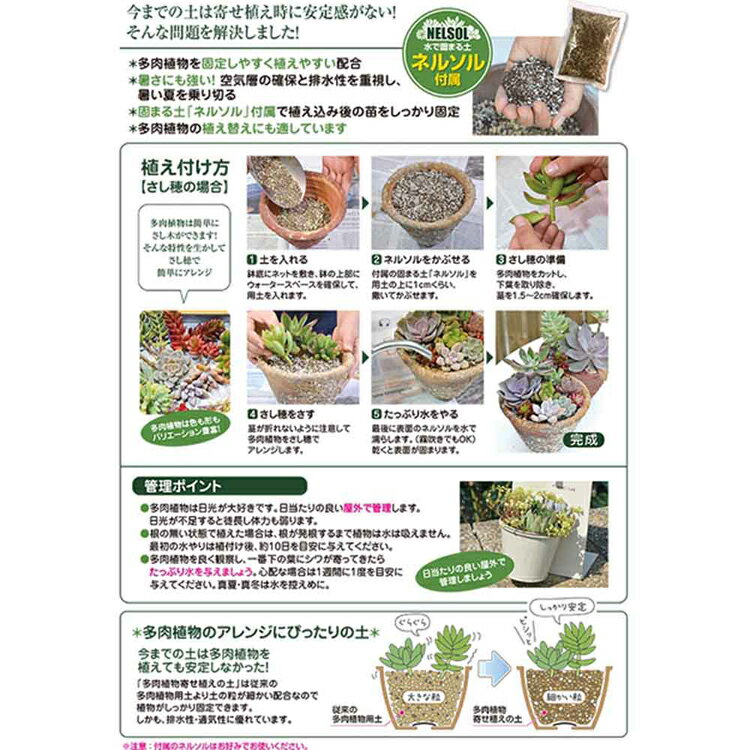 多肉植物寄せ植の土（ネルソル入） 5L 培養土 用土 ネルソル 固まる 耐暑性 植え替...