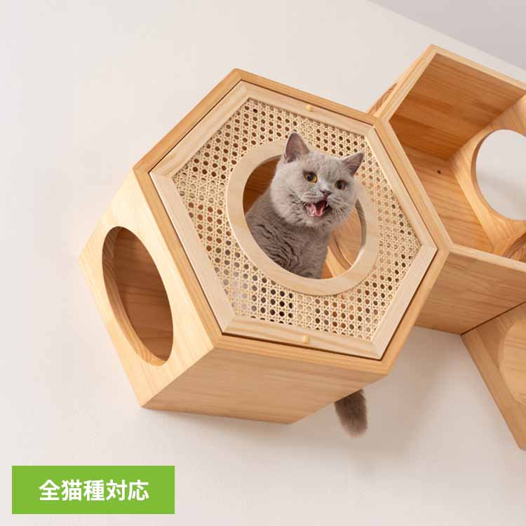 六角ハウスカバー(RATTAN) MZ0022キャットウォーク キャットステップ 猫用品 ペット用品 猫家具 猫ベッ..