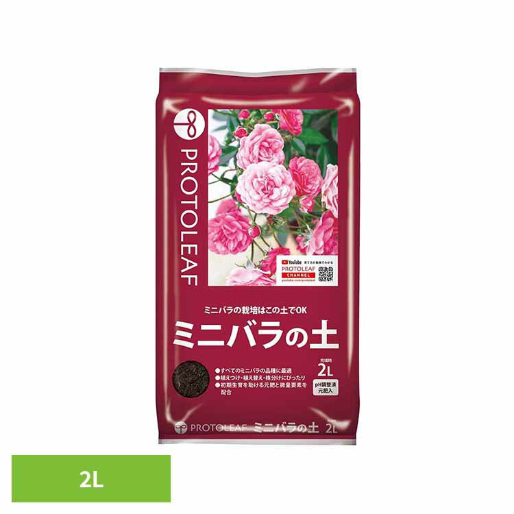 商品画像2