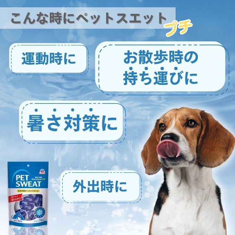ペットスエット プチ 7個入り 14mL x 7個 ペット ペット用品 ペットのドリンク ペットの水分補給 ヨーグルト風味 ペットスエット enetkome-10044135 メガストア サンプル画像3
