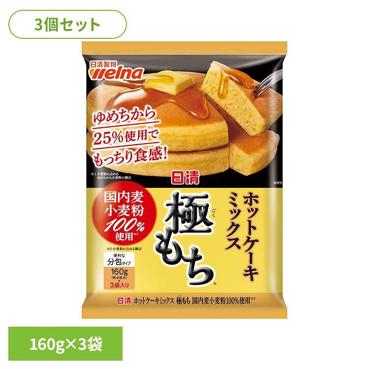【3個セット】日清 ホットケーキミックス 極もち（R） 国内麦小麦粉100%使用 480g ホットケーキミックス 日清製粉ウェルナ 日清 もっちり 日清製粉