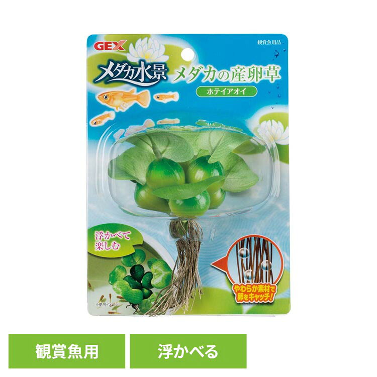 メダカ鉢などに浮かべて楽しむ産卵草。やわらかい根っこはメダカが産卵することもできる。●商品サイズ（cm）幅約11×奥行約5×高さ約18●商品重量約0.024kg●材質PP、綿糸（検索用：観賞魚 観賞魚用品 観賞魚用アクセサリー用品 4972547025043）最強翌日配送対象商品に関するご案内 最強翌日配送対象商品・対象地域に該当する場合は最強翌日配送マークがご注文カゴ近くに表示されます。 最強翌日配送可能なお支払方法は【クレジットカード、代金引換、全額ポイント支払い】のみとなります。 下記の場合は最強翌日配送対象外となります。 ・15点以上ご購入いただいた場合 ・時間指定がある場合 ・ご注文時備考欄にご記入がある場合 ・決済処理にお時間を頂戴する場合 ・郵便番号や住所に誤りがある場合 ・最強翌日配送対象外の商品とご一緒にご注文いただいた場合 ・お届け先住所文字数が40文字以上の場合【置き配規約について】