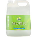 緑の魔女 キッチン業務用 5L 食器用洗剤 液体洗剤 洗剤 キッチン用洗剤 業務用 ミマスクリーンケア