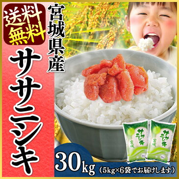 【新米】【30年度産】ササニシキ 30kg(5kg×6)送料無料 30年産 宮城県産 白米 30キロ お米 ご飯 ささにしき 宮城のお米 登米【TD】【TRS】【メーカー直送品】