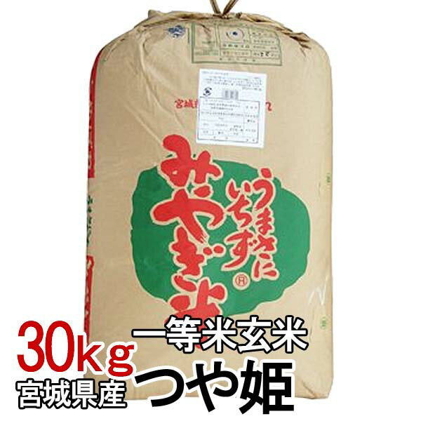 米 30kg 送料無料 玄米 