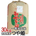 【令和元年産】宮城県産つや姫 一等米 30kgつや姫 玄米 30kg 米 一等米 30キロ コメ ツヤ姫 宮城県産【TD】【米TKR】【メーカー直送品】【RCP】